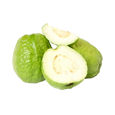 Fresh guava from Vietnam — CGS Foodstuff featured product