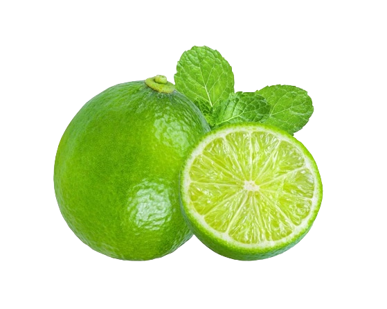 Fresh lime from Vietnam — CGS Foodstuff featured product