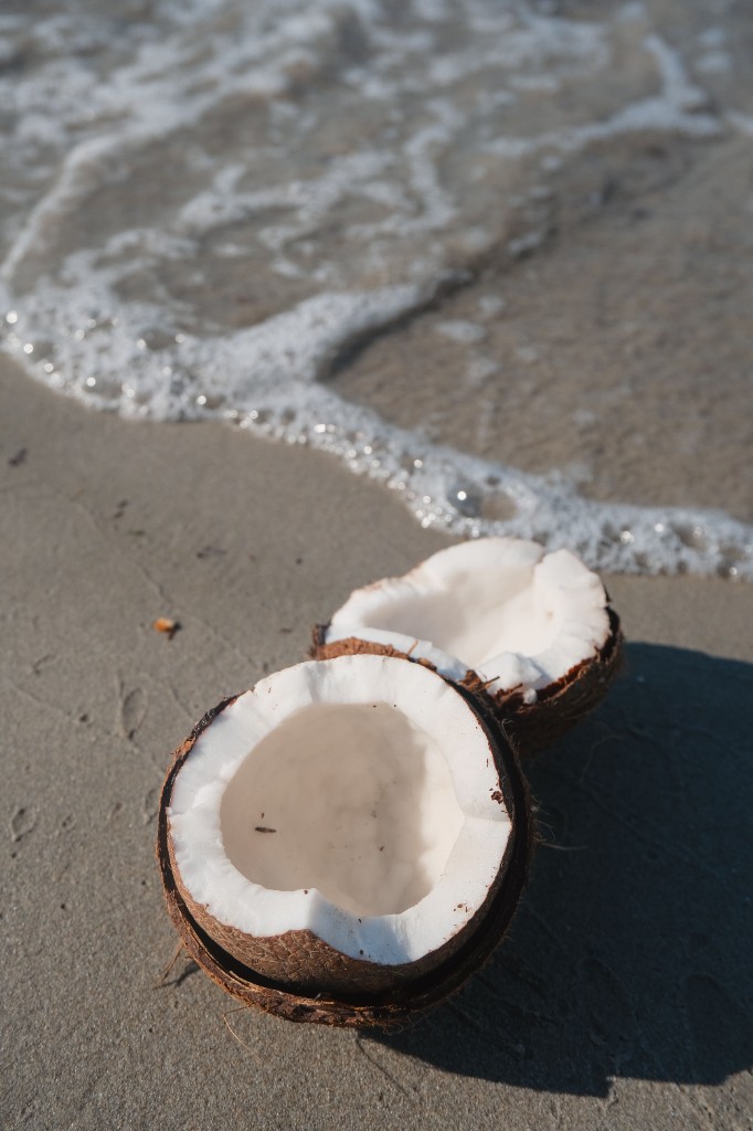 Halved coconuts on the sand at the waterline