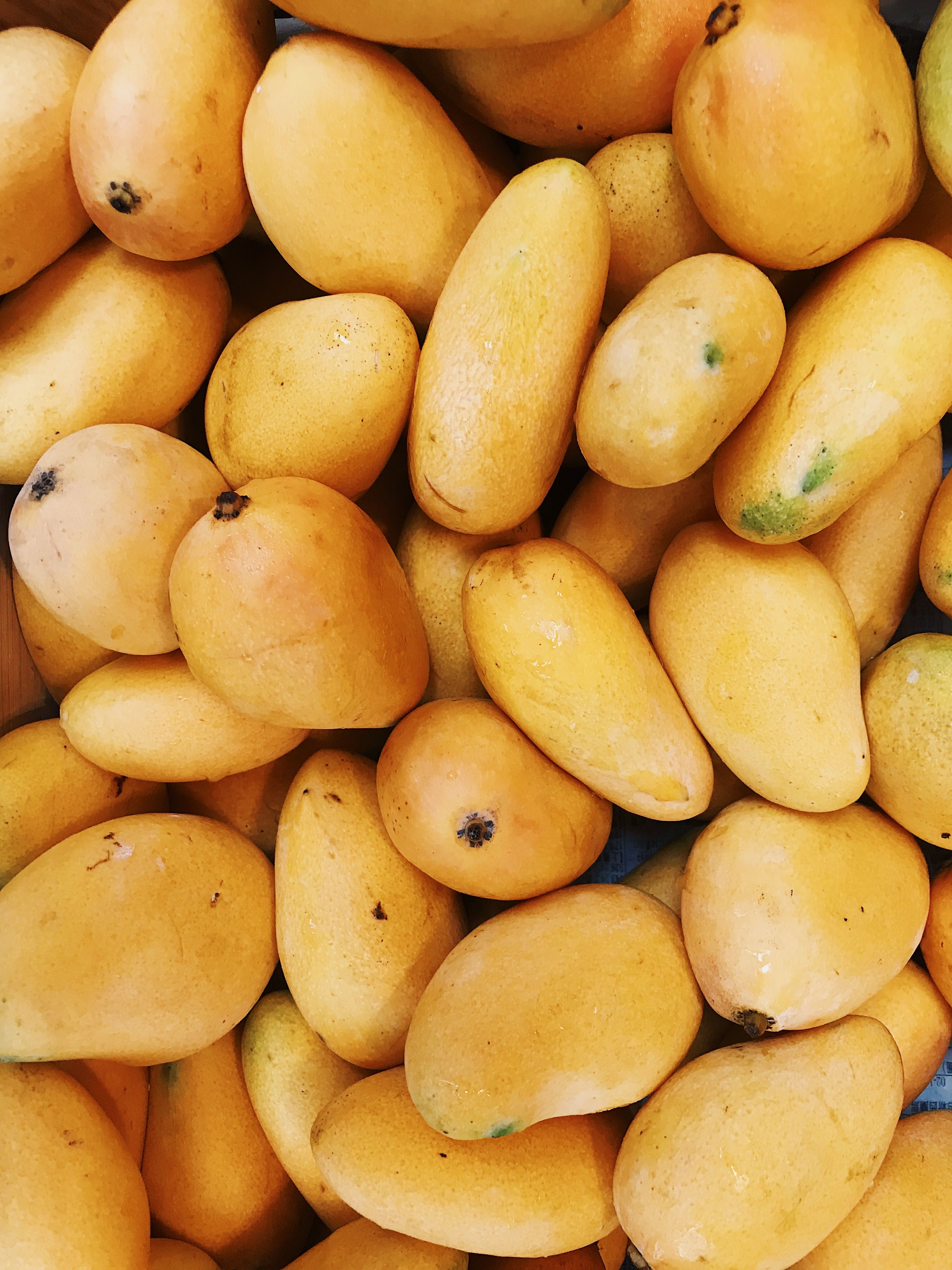Pile of ripe tropical mangoes
